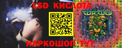 трава Сланцы