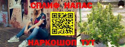 трава Сланцы