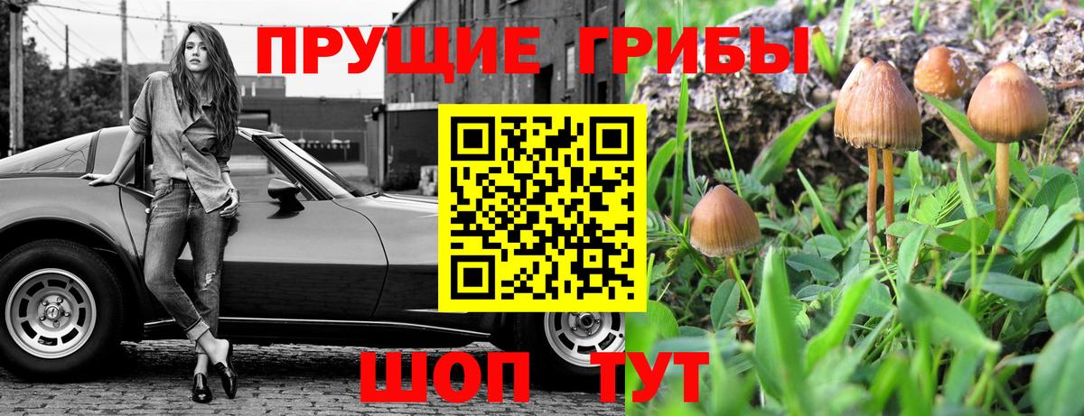 Псилоцибиновые грибы GOLDEN TEACHER Можайск