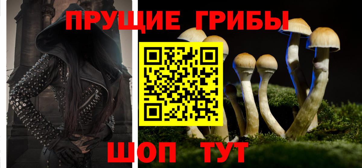 Псилоцибиновые грибы Magic Shrooms  Вход с VPN  Псилоцибиновые грибы Magic Shrooms  Можайск 